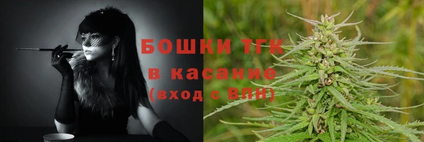PSILOCYBIN Новокубанск