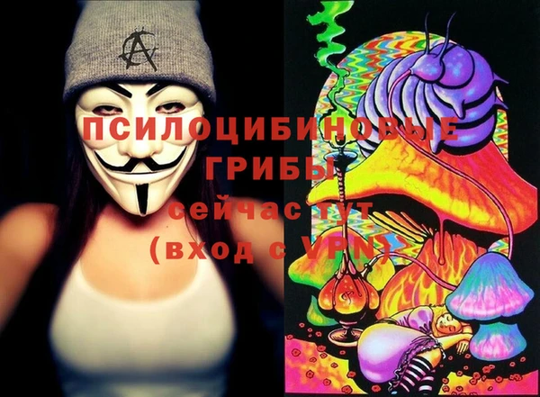 ГАЛЛЮЦИНОГЕННЫЕ ГРИБЫ Новодвинск