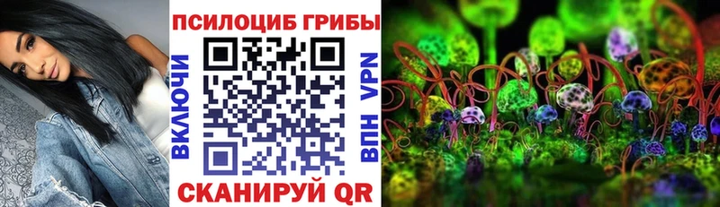 Псилоцибиновые грибы MAGIC MUSHROOMS  omg маркетплейс  Владивосток  купить наркотики сайты 